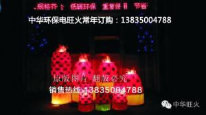 电子环保旺火